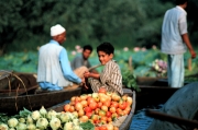 Kashmir - Boy on Shikara with Vegetables