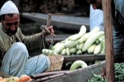 Kashmir - Man w/scale in Floating Market