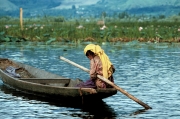 Kashmir-Woman in Shikara on Dal Lake