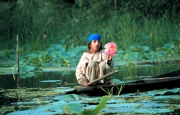 Kashmir - Girl on Shikara with Flower