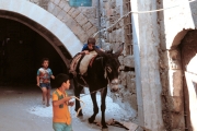 Israel - Boys with Donkey-Old Jerusalem