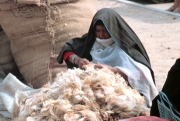 Bedouin Woman with Sheared Wool